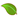 stevia leaf stevia domain leaf